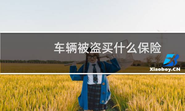 车辆被盗买什么保险