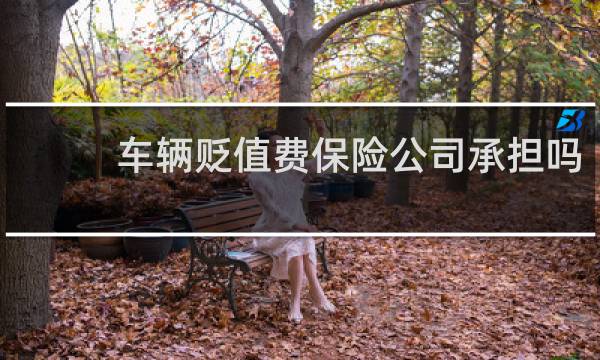 车辆贬值费保险公司承担吗