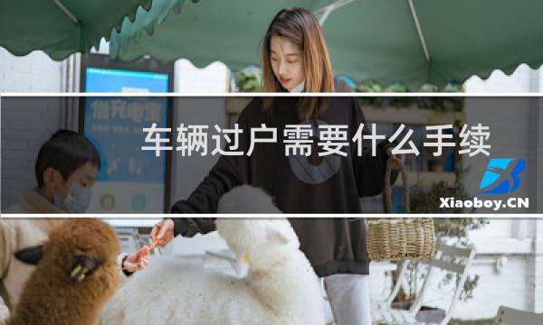 车辆过户需要什么手续（有如下五个手续）图片