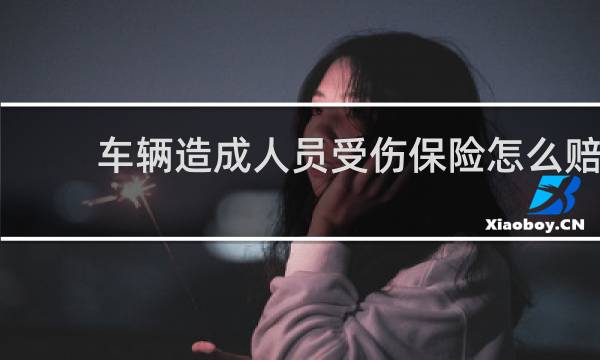 车辆造成人员受伤保险怎么赔