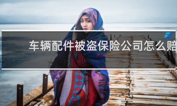 车辆配件被盗保险公司怎么赔