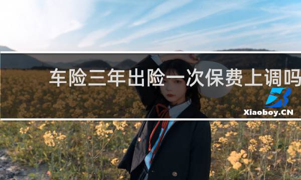 车险三年出险一次保费上调吗