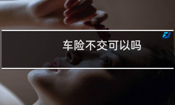 车险不交可以吗图片