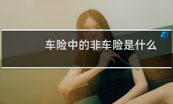 车险中的非车险是什么