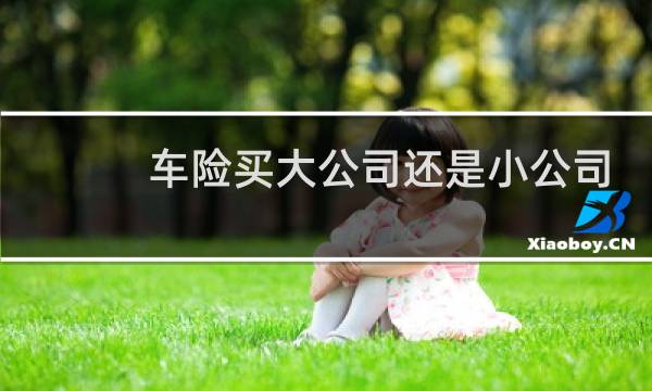 车险买大公司还是小公司