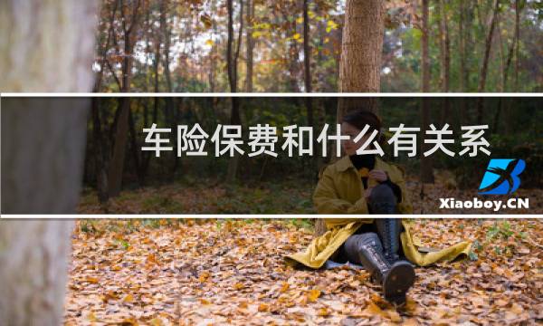 车险保费和什么有关系