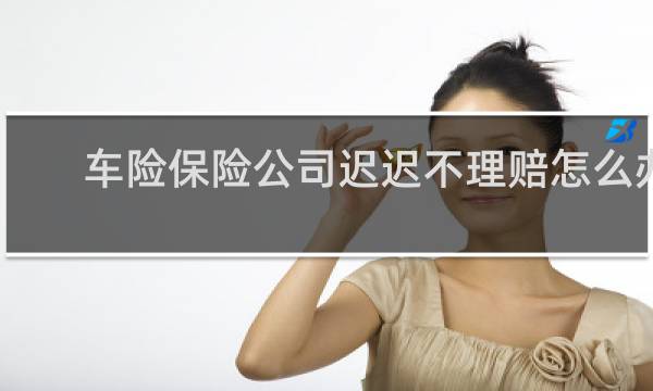 车险保险公司迟迟不理赔怎么办