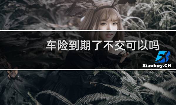 车险到期了不交可以吗