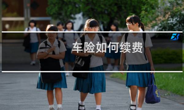 车险如何续费