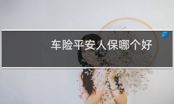 车险平安人保哪个好图片