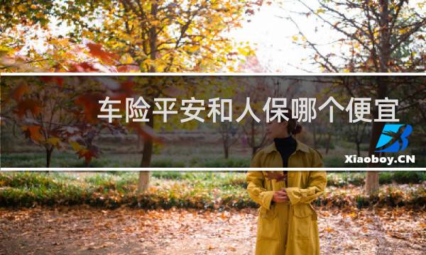 车险平安和人保哪个便宜图片