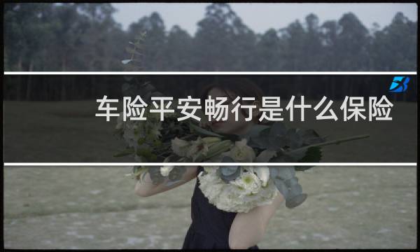 车险平安畅行是什么保险图片