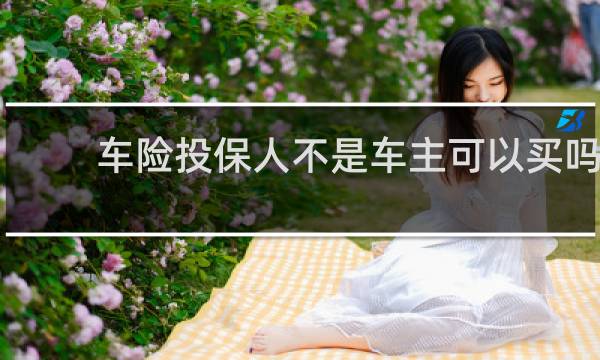 车险投保人不是车主可以买吗