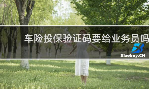 车险投保验证码要给业务员吗