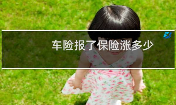 车险报了保险涨多少