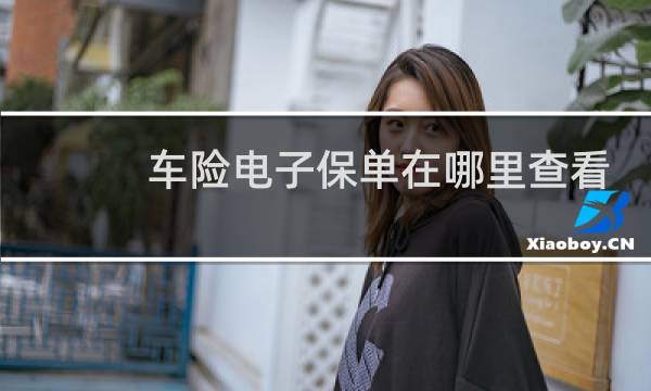 车险电子保单在哪里查看图片