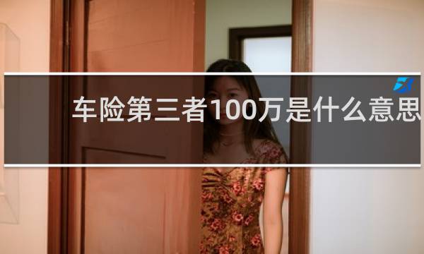 车险第三者100万是什么意思图片