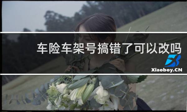 车险车架号搞错了可以改吗图片