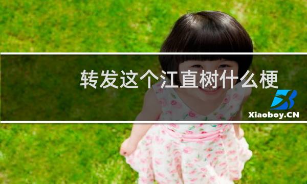 转发这个江直树什么梗