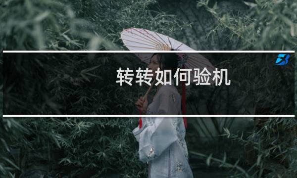 转转如何验机（转转如何卖东西）图片