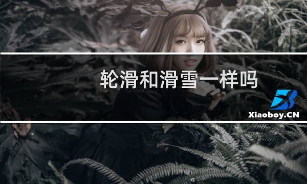 轮滑和滑雪一样吗