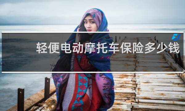 轻便电动摩托车保险多少钱