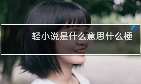 轻小说是什么意思什么梗