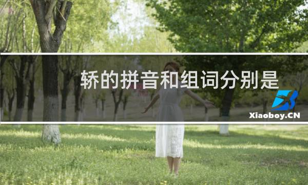 轿的拼音和组词分别是什么（轿的拼音和组词）图片