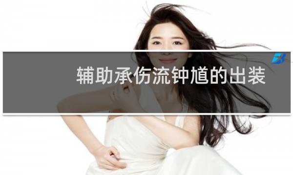 辅助承伤流钟馗的出装和使用