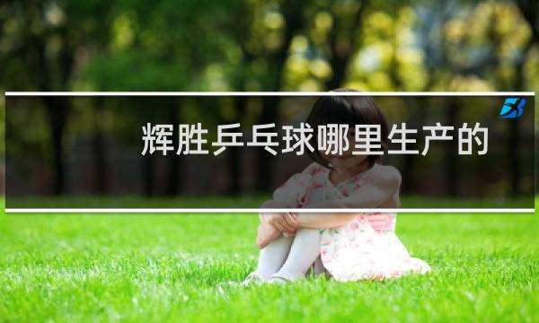 辉胜乒乓球哪里生产的