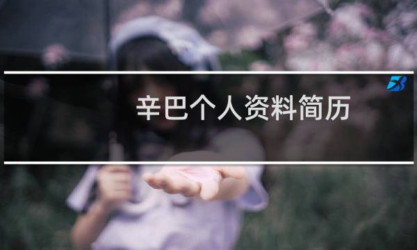 辛巴个人资料简历