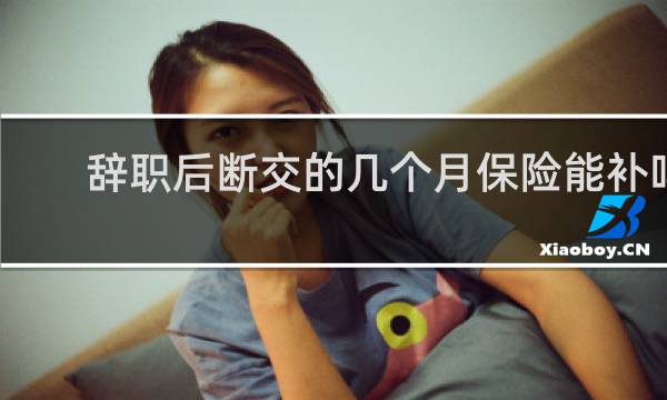 辞职后断交的几个月保险能补吗图片