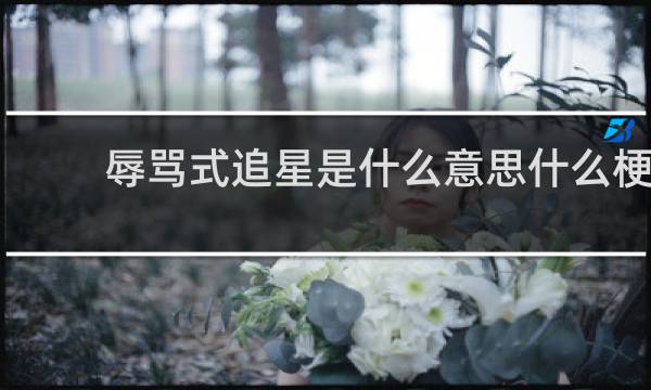 辱骂式追星是什么意思什么梗