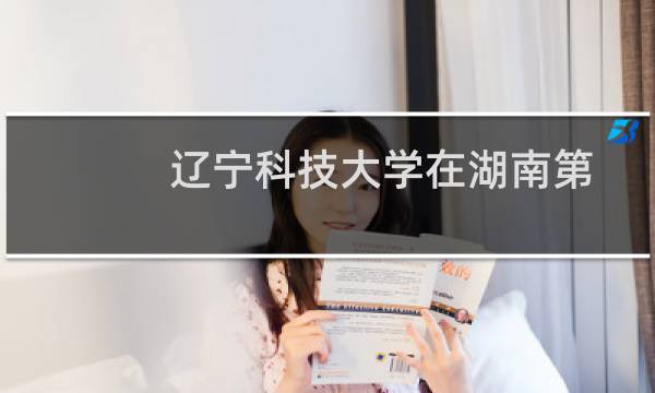 辽宁科技大学在湖南第203组(中外合作办学或国际项目)包括哪些专业 附各专业招生人数
