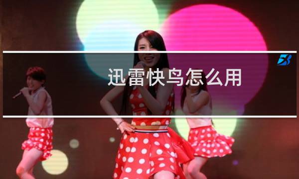迅雷快鸟怎么用