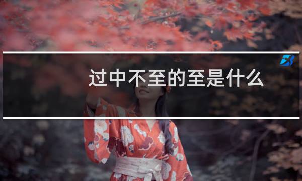 过中不至的至是什么（过中不至的至是什么意思）