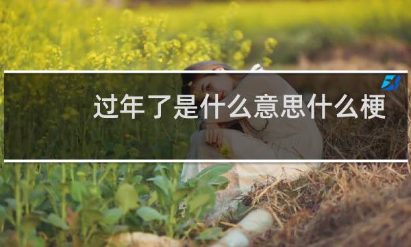 过年了是什么意思什么梗
