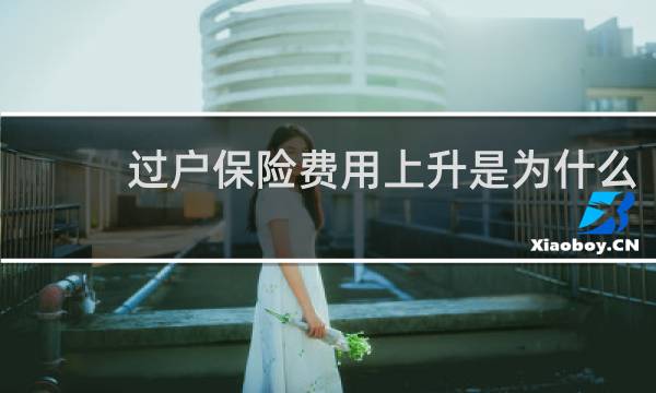 过户保险费用上升是为什么图片