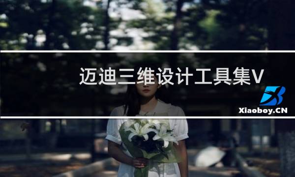 迈迪三维设计工具集V5.5下载及安装注册办法