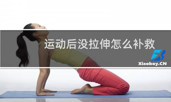 运动后没拉伸怎么补救