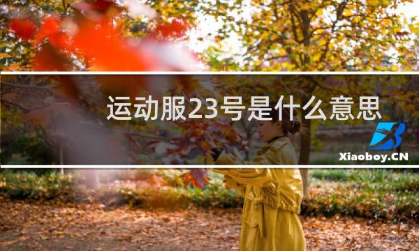 运动服23号是什么意思