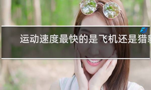 运动速度最快的是飞机还是猎豹