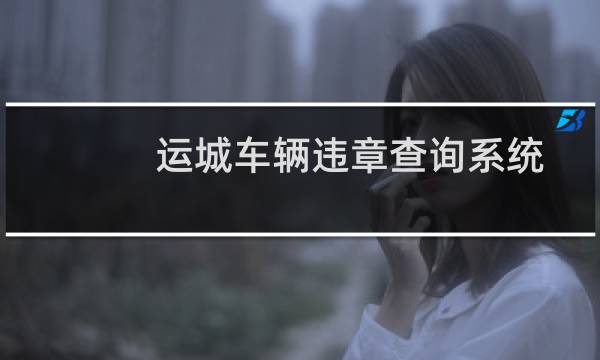 运城车辆违章查询系统（运城电子眼违章查询）图片