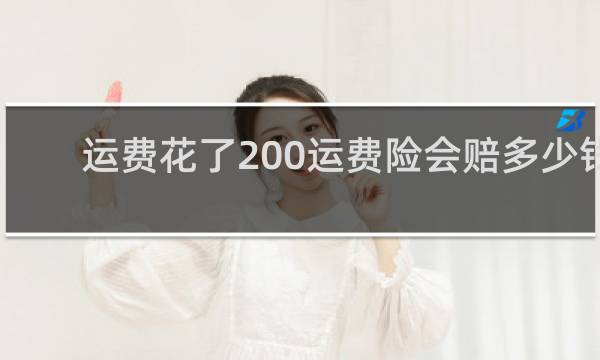 运费花了200运费险会赔多少钱