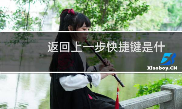 返回上一步快捷键是什么（返回上一步快捷键）图片