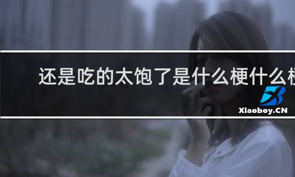 还是吃的太饱了是什么梗什么梗