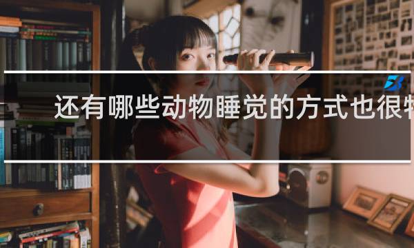 还有哪些动物睡觉的方式也很特别