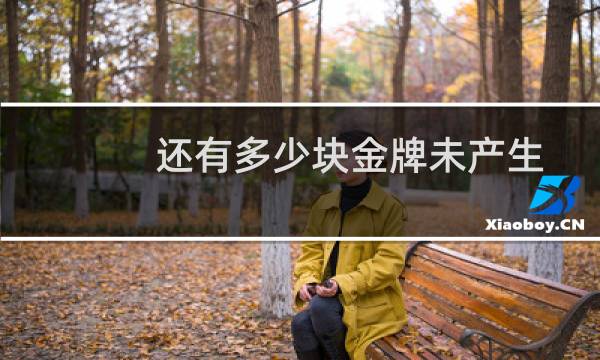 还有多少块金牌未产生