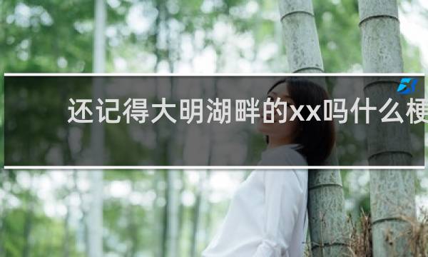 还记得大明湖畔的xx吗什么梗