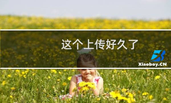 这个上传好久了，缓存真让人受不了，帮我反馈一下吧